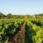 Particulier Chateau Des Marais Proximite Et Vue Sur Le De Grand Lieu מלון Saint-Philbert-de-Grand-Lieu