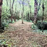 Particulier Chateau Des Marais Proximite Et Vue Sur Le De Grand Lieu 호텔 3*