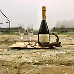 מלון Particulier Chateau Des Marais Proximite Et Vue Sur Le De Grand Lieu