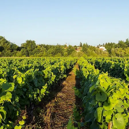 Particulier Château Des Marais Proximité Et Vue Sur Le De Grand Lieu Hotel Saint-Philbert-de-Grand-Lieu
