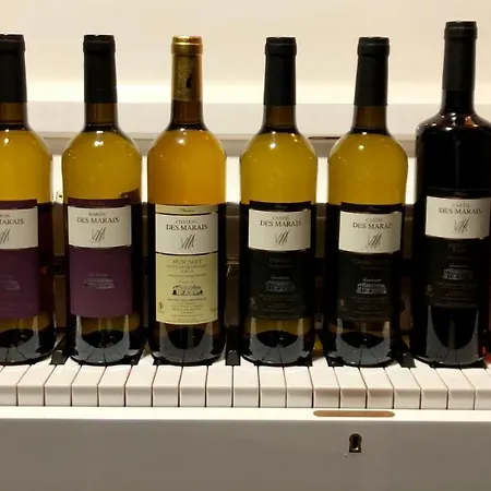 Particulier Chateau Des Marais Proximite Et Vue Sur Le De Grand Lieu 酒店 3*