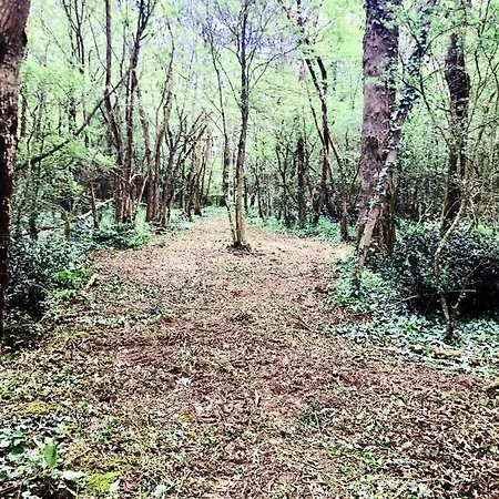 Particulier Chateau Des Marais Proximite Et Vue Sur Le De Grand Lieu Otel 3*