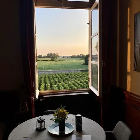 Particulier Chateau Des Marais Proximite Et Vue Sur Le De Grand Lieu 3* Saint-Philbert-de-Grand-Lieu