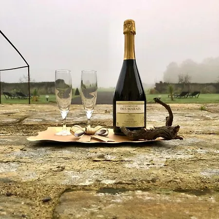 Hotel Particulier Chateau Des Marais Proximite Et Vue Sur Le De Grand Lieu