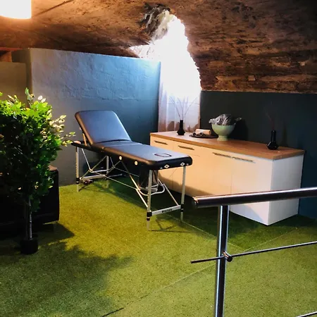 Particulier Chateau Des Marais Proximite Et Vue Sur Le De Grand Lieu 3* Saint-Philbert-de-Grand-Lieu