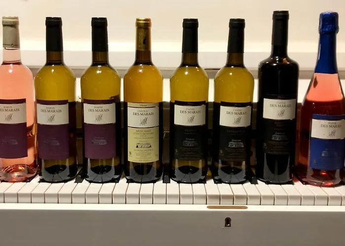 Particulier Chateau Des Marais Proximite Et Vue Sur Le De Grand Lieu ホテル 3*