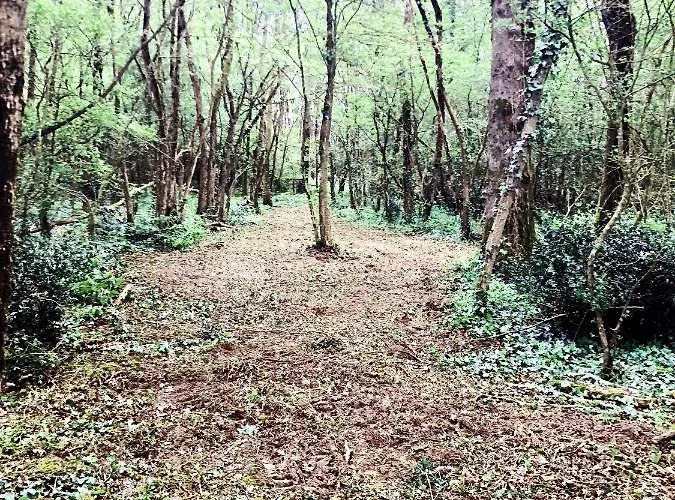 Particulier Chateau Des Marais Proximite Et Vue Sur Le De Grand Lieu ホテル 3*
