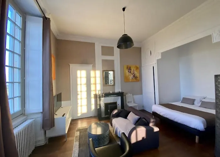 Particulier Chateau Des Marais Proximite Et Vue Sur Le De Grand Lieu Saint-Philbert-de-Grand-Lieu