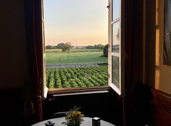 Particulier Chateau Des Marais Proximite Et Vue Sur Le De Grand Lieu 3* Saint-Philbert-de-Grand-Lieu