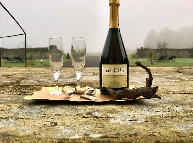 ホテル Particulier Chateau Des Marais Proximite Et Vue Sur Le De Grand Lieu