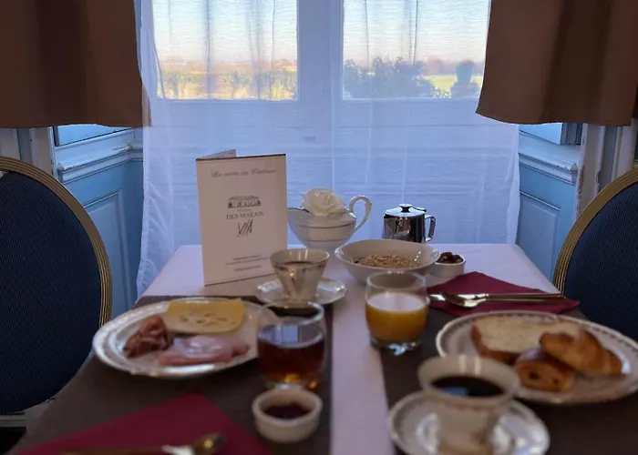 Particulier Chateau Des Marais Proximite Et Vue Sur Le De Grand Lieu 3* Saint-Philbert-de-Grand-Lieu